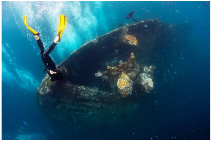 永利平台app下载