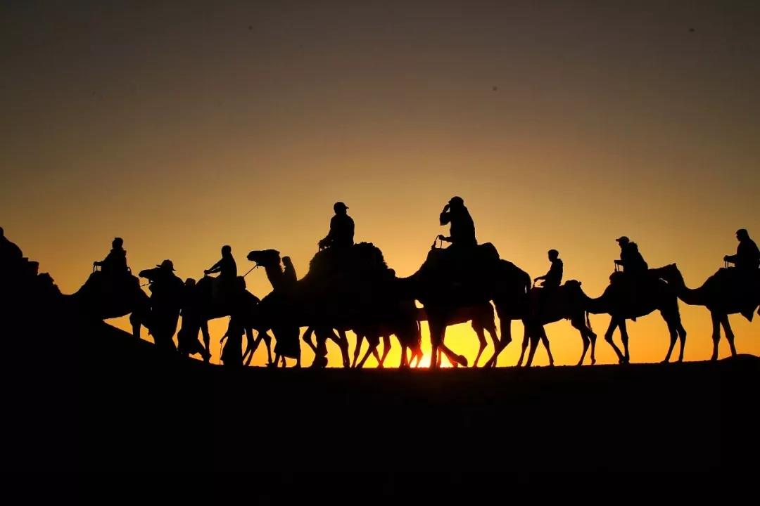 永利平台app下载