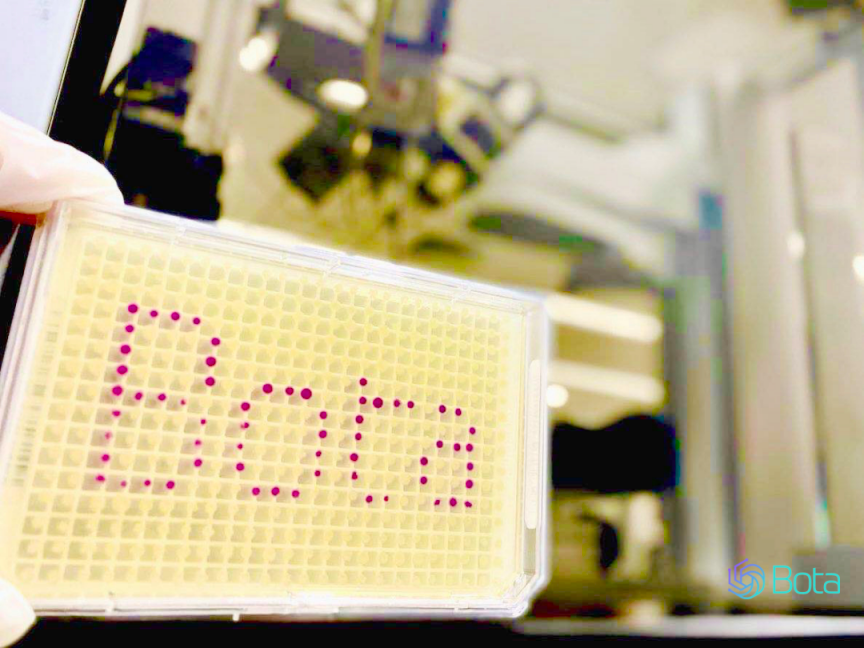 永利平台app下载