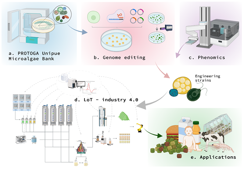 永利平台app下载
