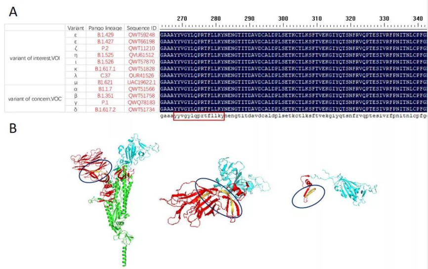 永利平台app下载