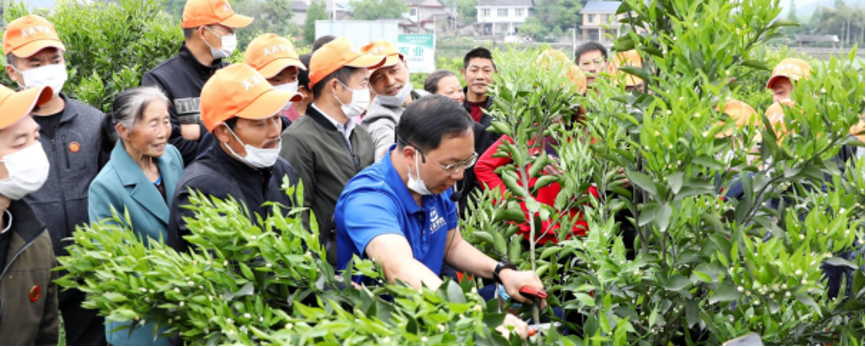 永利平台app下载