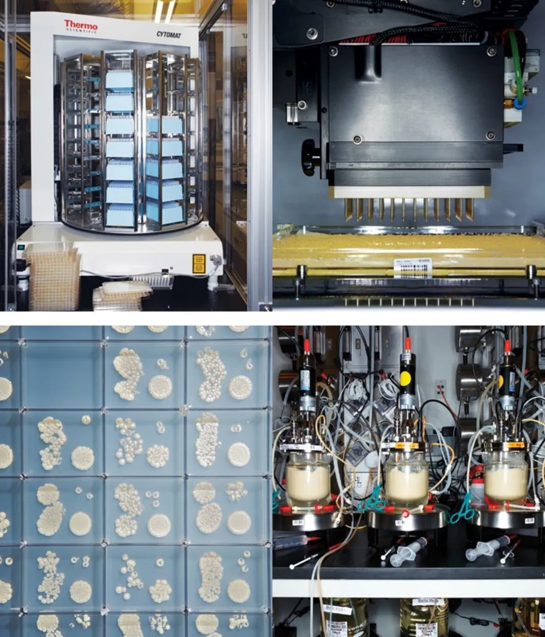 永利平台app下载