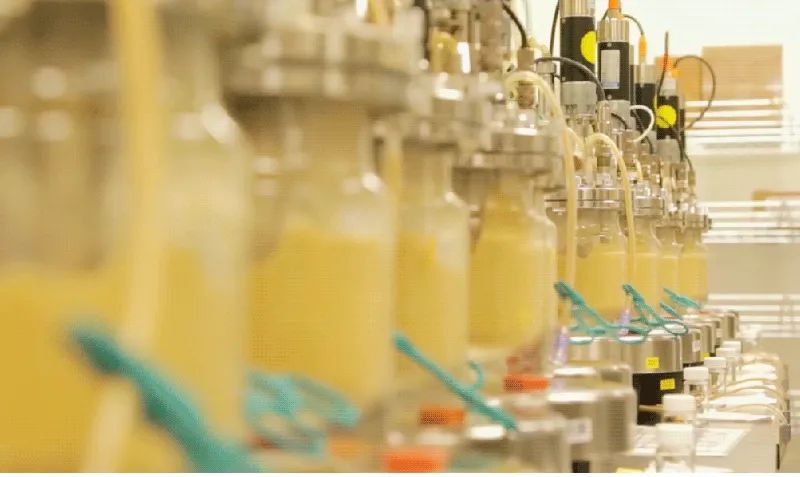 永利平台app下载