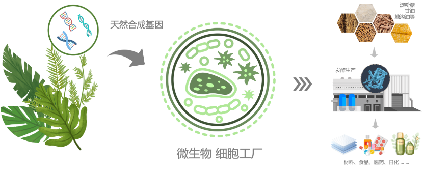 永利平台app下载