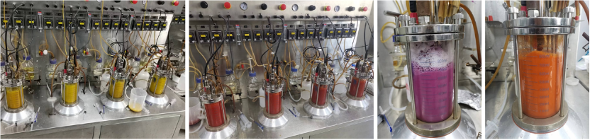 永利平台app下载