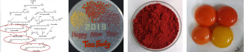 永利平台app下载