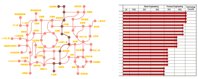 永利平台app下载