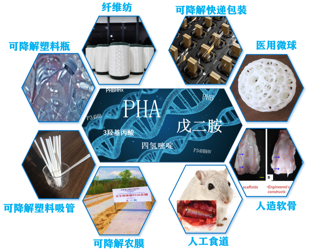 永利平台app下载